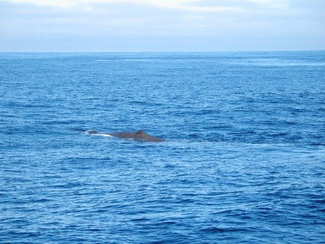 Urlaub in Norwegen 2006